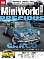 MiniWorld